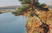 В Ярославле открылась выставка фотохудожника Николая Козичева. С фото