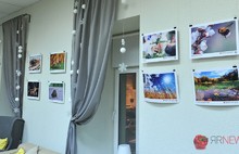 В Ярославле в частном кафе открылась выставка «365 дней». С фото