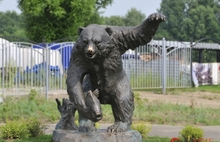 В Ярославле определены «медвежьи» места