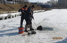 Школьников Ярославля научили спасать людей, попавших под лед. С фото