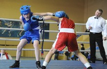 В Ярославле стартовал турнир по боксу «Память». Фоторепортаж