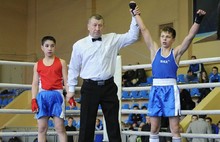 В Ярославле стартовал турнир по боксу «Память». Фоторепортаж
