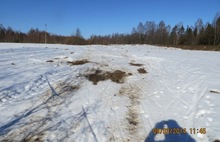 Деминский марафон Worldloppet-2014 в Рыбинске отменен. С фото