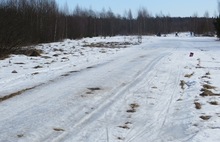 Деминский марафон Worldloppet-2014 в Рыбинске отменен. С фото