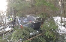 В Ярославской области УАЗик и Рено «улетели» в кювет и врезались в дерево