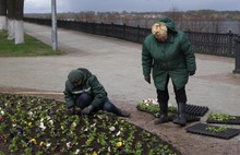 Ярославскую Стрелку украсили более 4,5 тысяч цветов