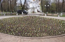 Ярославскую Стрелку украсили более 4,5 тысяч цветов