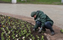 Ярославскую Стрелку украсили более 4,5 тысяч цветов