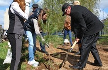 В Ярославской области стартовала акция «День посадки леса» (фото)