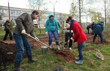 В Ярославской области стартовала акция «День посадки леса» (фото)