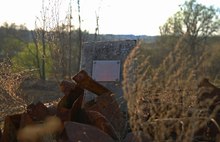 Ярославские поисковики вернулись из Новгородской области