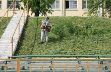 В Ярославле к Дню города отремонтируют стадион «Спартаковец»