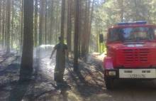 Лесной пожар в Ярославском районе потушен