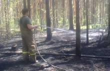 Лесной пожар в Ярославском районе потушен