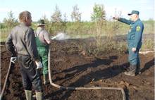 В Ярославской области горел торфяник