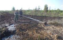 В Ярославской области горел торфяник