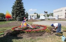 Началась подготовка к фестивалю «Цветочная Олимпиада в Ярославле»