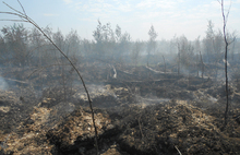 Торфяной пожар в Ростовском районе тушили вчера весь день