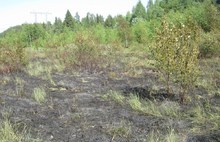 В Ростовском районе обнаружен торфяной пожар на площади полгектара