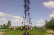Электричество в Ярославской области не восстановили только в семи поселках Рыбинского района
