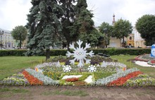 Завершаются работы по подготовке к фестивалю «Цветочная Олимпиада в Ярославле»