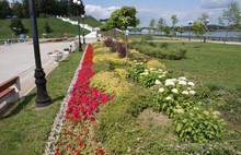 В Ярославле завершили работу по цветочному оформлению города
