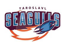 Федерация Американского футбола Ярославской области приглашает болельщиков на товарищеские матчи