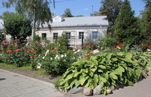 Выездная комиссия оценила цветники в Кировском районе Ярославля