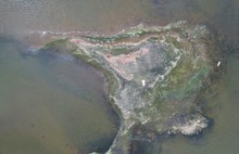 Затопленная Молога: взгляд с высоты и с земли