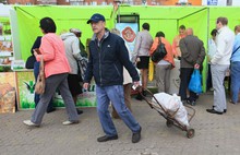Губернатор Ярославской области Сергей Ястребов: «Товары местных производителей будут представлены во всех магазинах области»