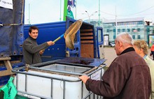 Губернатор Ярославской области Сергей Ястребов: «Товары местных производителей будут представлены во всех магазинах области»