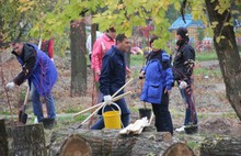 В сквере на улице Юности в Ярославле начался очередной этап реконструкции