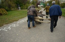 В музее-заповеднике Переславля-Залесского закрыли отдел природы