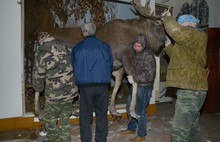 В музее-заповеднике Переславля-Залесского закрыли отдел природы