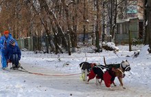 В Ярославле дети от двух до семи спешили к победе на ретро-велосипеде