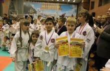 В Ярославле прошел второй «Турнир цветных поясов» по тхэквондо