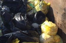 В мусорных контейнерах неподалеку от ярославского зоопарка найдены человеческие органы