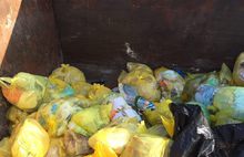 В мусорных контейнерах неподалеку от ярославского зоопарка найдены человеческие органы