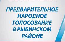 В Рыбинском районе «Единая Россия» готовится к праймериз