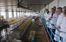 Депутаты областной Думы намерены возродить традиции сыроделия в регионе