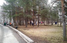 В общегородском субботнике в Ярославле приняли участие тридцать тысяч человек