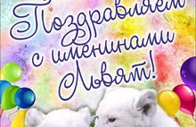 Ярославский зоопарк устраивает праздник белых львят
