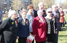 В Ярославле вновь высаживали деревья в честь юбилея Победы