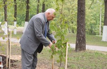 В Ярославле посадили именные деревья в память о погибших во время Великой Отечественной войны