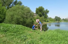 Ярославцам не рекомендуют купаться на городских пляжах