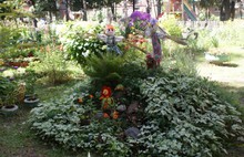 Жюри конкурса «Ярославль в цвету» побывало в Ленинском районе