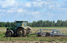 Урожай в Ярославской области ожидается на уровне прошлого года