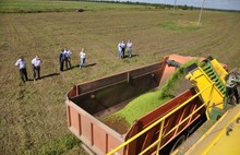 Урожай в Ярославской области ожидается на уровне прошлого года