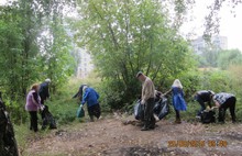 Во время экологического субботника в Ярославле привели в порядок почти сто гектаров городской территории