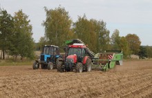 В Ярославской области убрано более шестидесяти процентов зерновых